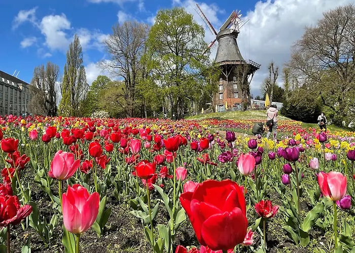 不来梅丽笙布鲁酒店